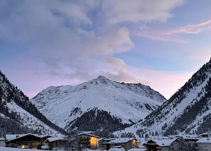 Zirben Nest * Plangeross