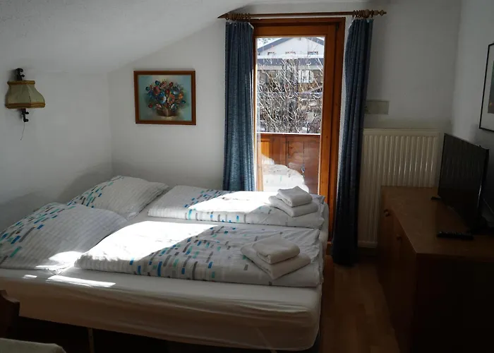 Zirben Nest Guest house